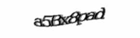Security check image, please type the characters shown